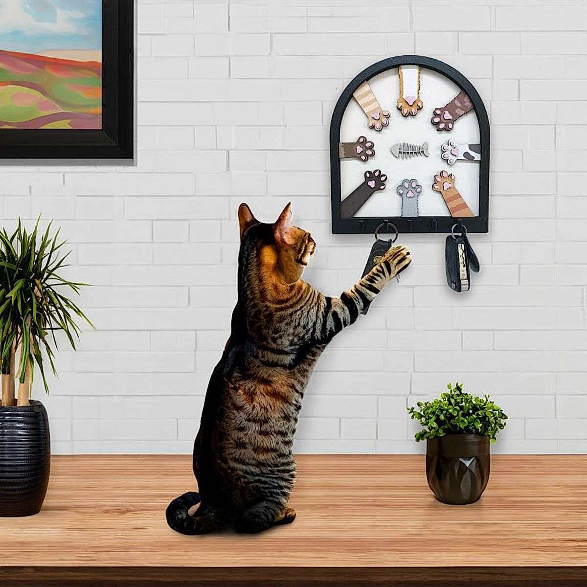 Renkli Kedi Patileri ve Balık Kabartma Tasarım Anahtarlık Duvar Dekor Askılık
